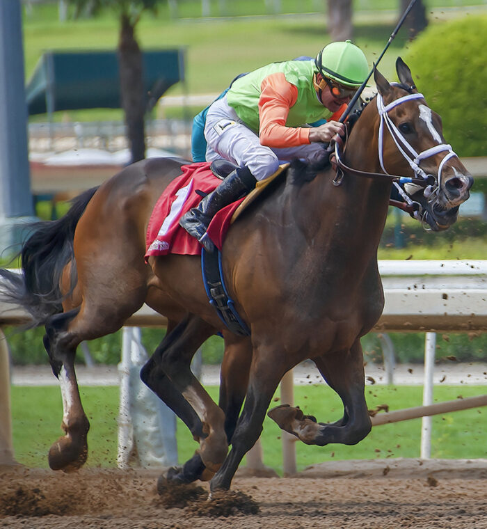 jockey on a horse